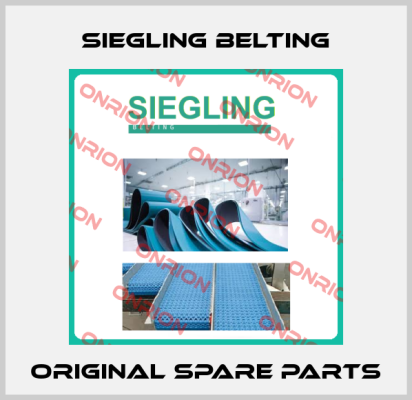 Siegling Belting