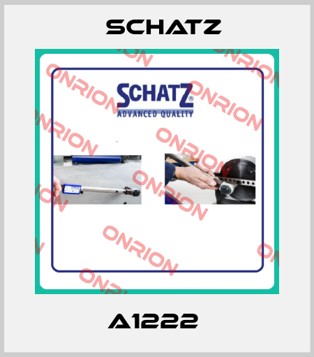 A1222  Schatz