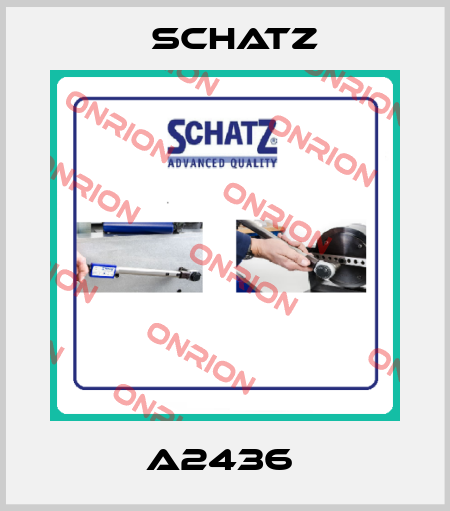 A2436  Schatz