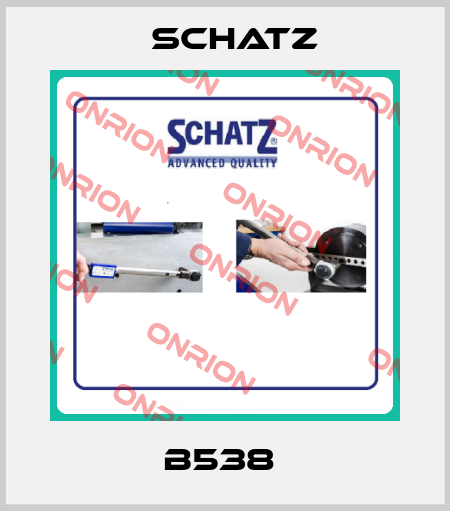 B538  Schatz