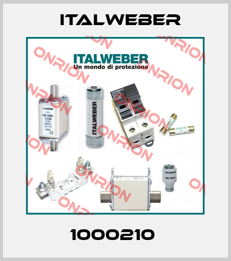 1000210  Italweber