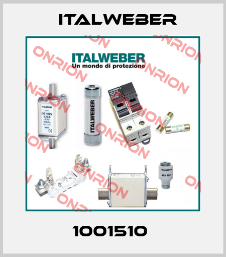 1001510  Italweber