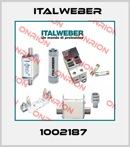 1002187  Italweber