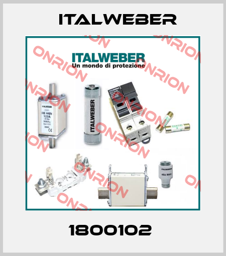 1800102  Italweber