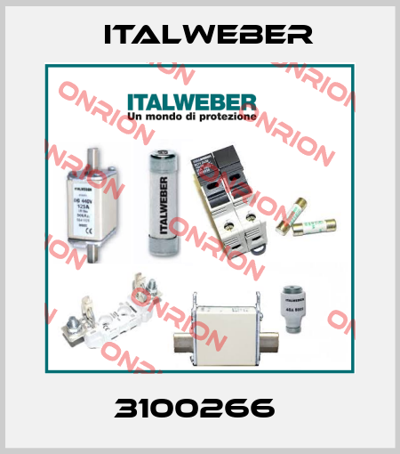3100266  Italweber