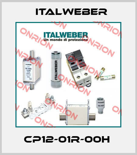 CP12-01R-00H  Italweber