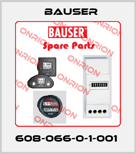 608-066-0-1-001  Bauser