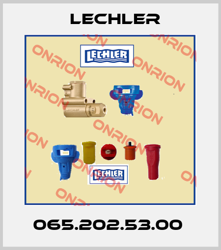 065.202.53.00  Lechler
