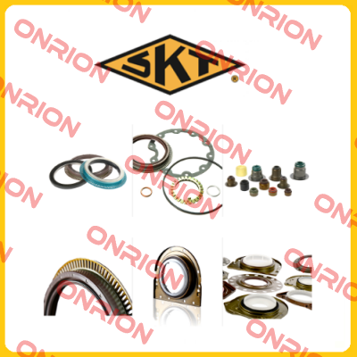 410263(100X125X13 L3L) SKT
