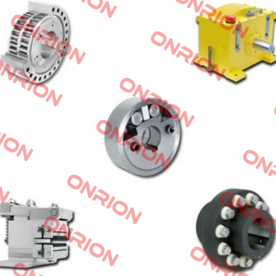 4201-024001-000000 Ringspann