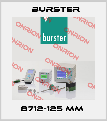 8712-125 mm  Burster
