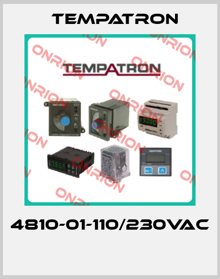 4810-01-110/230VAC  Tempatron