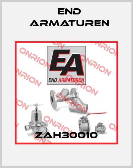 ZAH30010 End Armaturen