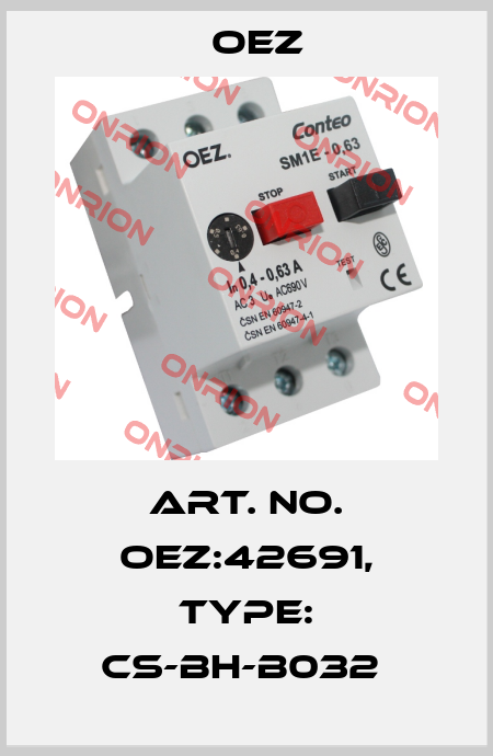 Art. No. OEZ:42691, Type: CS-BH-B032  OEZ