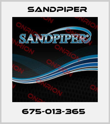 675-013-365  Sandpiper