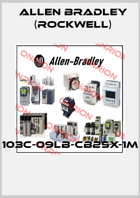 103C-09LB-CB25X-1M  Allen Bradley (Rockwell)