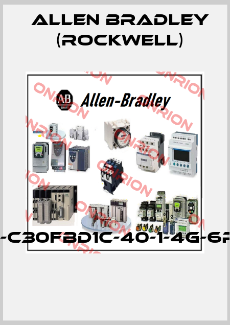 113-C30FBD1C-40-1-4G-6P-7  Allen Bradley (Rockwell)