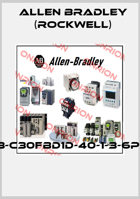 113-C30FBD1D-40-1-3-6P-7  Allen Bradley (Rockwell)