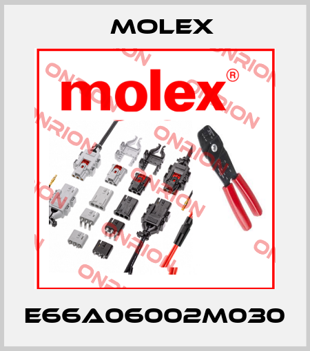 E66A06002M030 Molex
