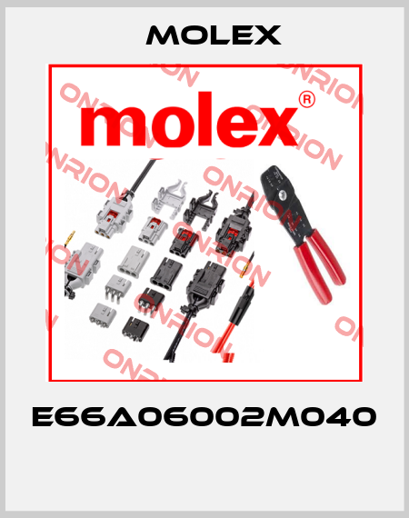 E66A06002M040  Molex