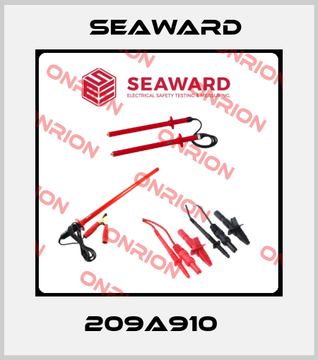 209A910   Seaward