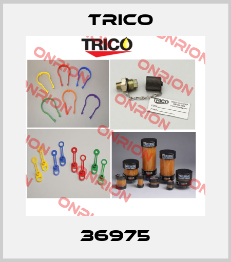 36975 Trico
