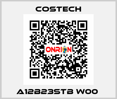 A12B23STB W00  Costech