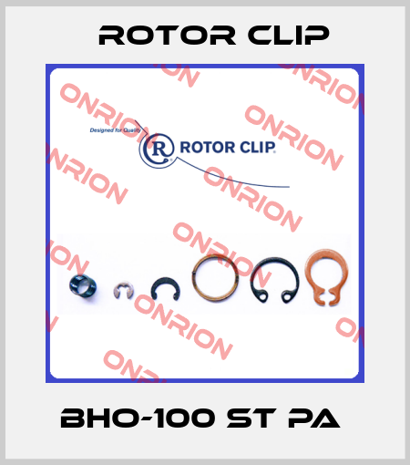 BHO-100 ST PA  Rotor Clip