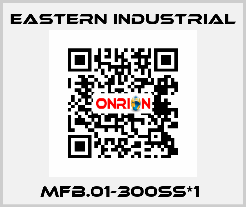 MFB.01-300SS*1  Eastern Industrial
