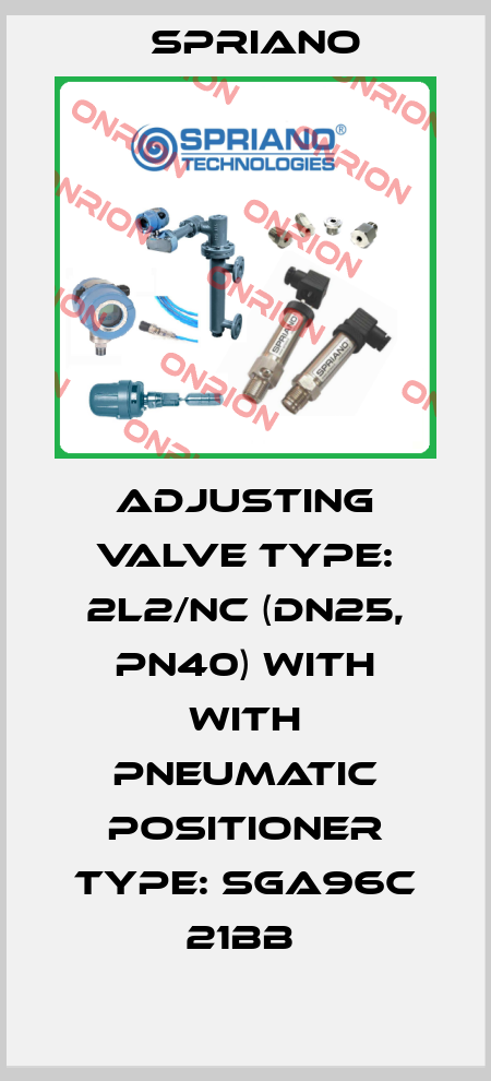 ADJUSTING VALVE TYPE: 2L2/NC (DN25, PN40) WITH WITH PNEUMATIC POSITIONER TYPE: SGA96C 21BB  Spriano