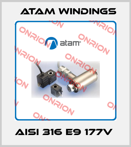 AISI 316 E9 177V  Atam Windings