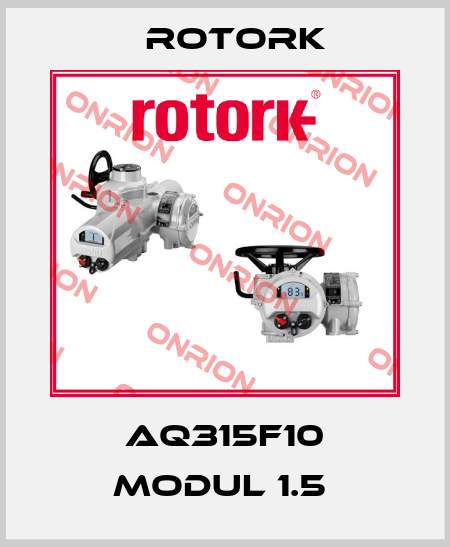 AQ315F10 MODUL 1.5  Rotork