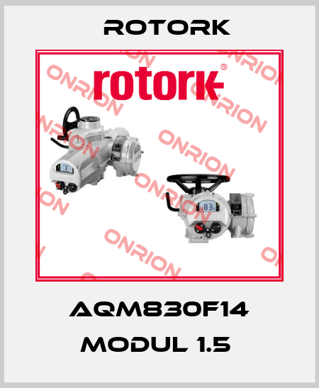 AQM830F14 MODUL 1.5  Rotork