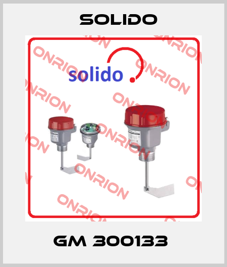 GM 300133  Solido
