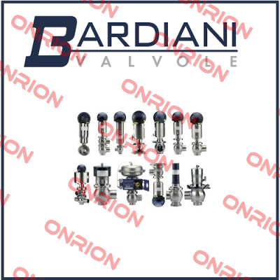 B925 TT VITON SMS67  Bardiani Valvole