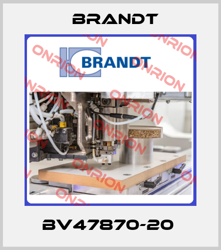 BV47870-20  Brandt