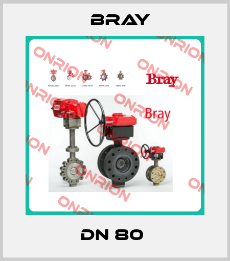  DN 80  Bray