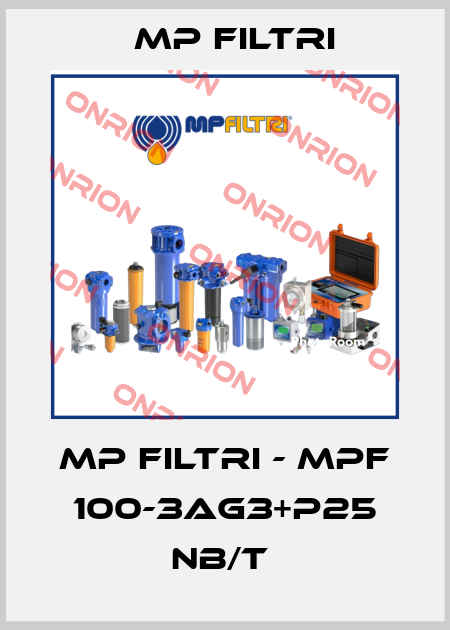 MP Filtri - MPF 100-3AG3+P25 NB/T  MP Filtri