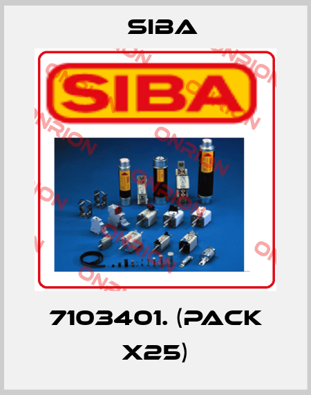7103401. (pack x25) Siba