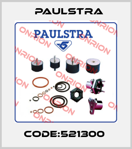 CODE:521300  Paulstra