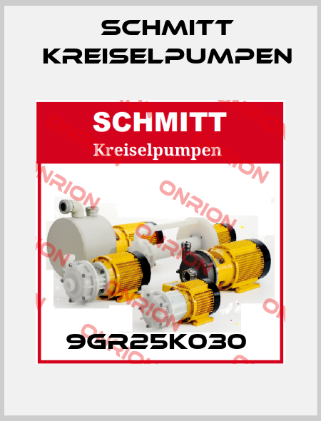9GR25K030  Schmitt Kreiselpumpen