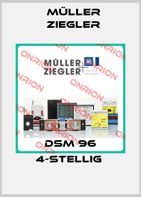 DSM 96 4-stellig  Müller Ziegler