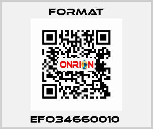 EFO34660010  Format