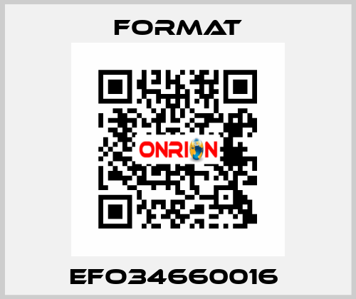 EFO34660016  Format