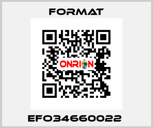 EFO34660022  Format