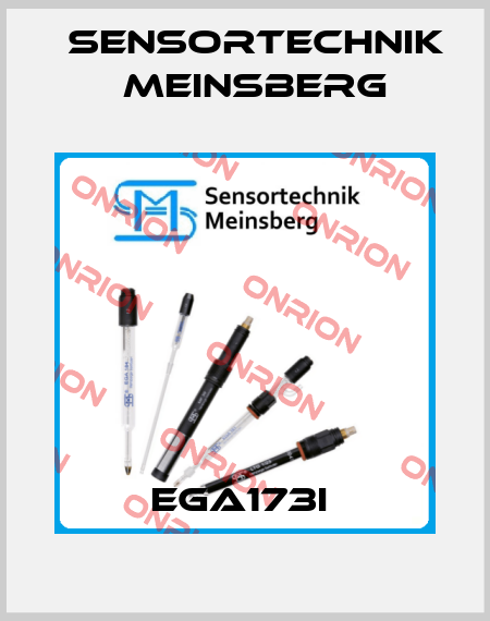 EGA173I  Sensortechnik Meinsberg