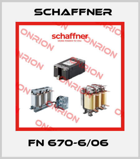 FN 670-6/06  Schaffner