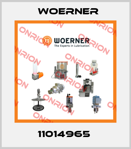 11014965  Woerner
