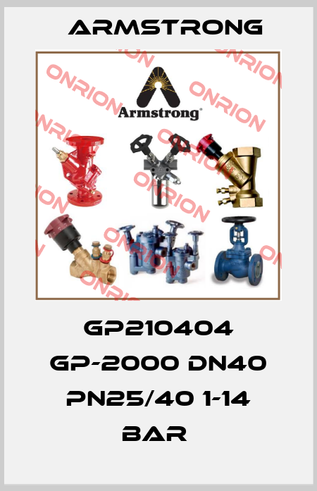 GP210404 GP-2000 DN40 PN25/40 1-14 BAR  Armstrong