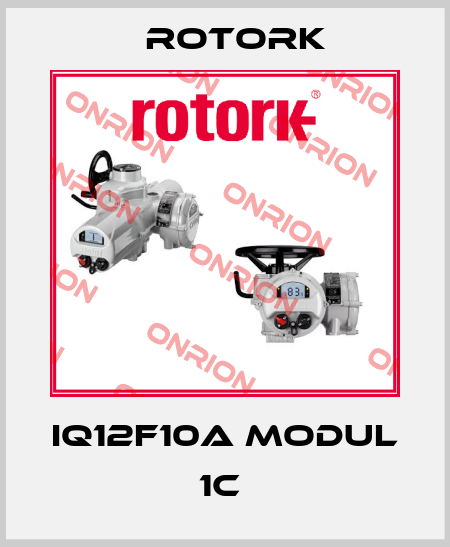 IQ12F10A MODUL 1C  Rotork